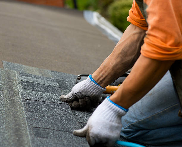 Best Roof Maintenance Services  in Tahoe Vista, CA